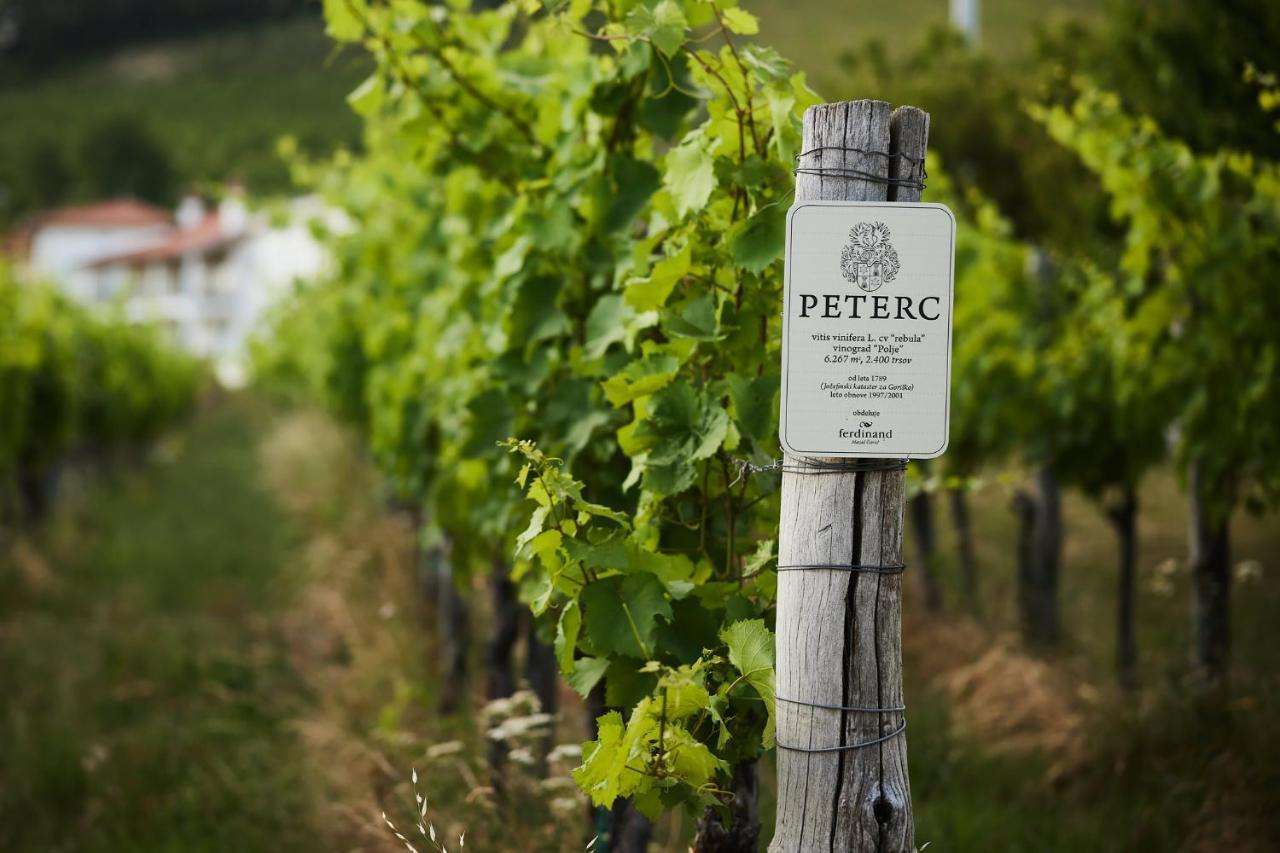 Kojsko Peterc Vineyard Estate Bed & Breakfast エクステリア 写真