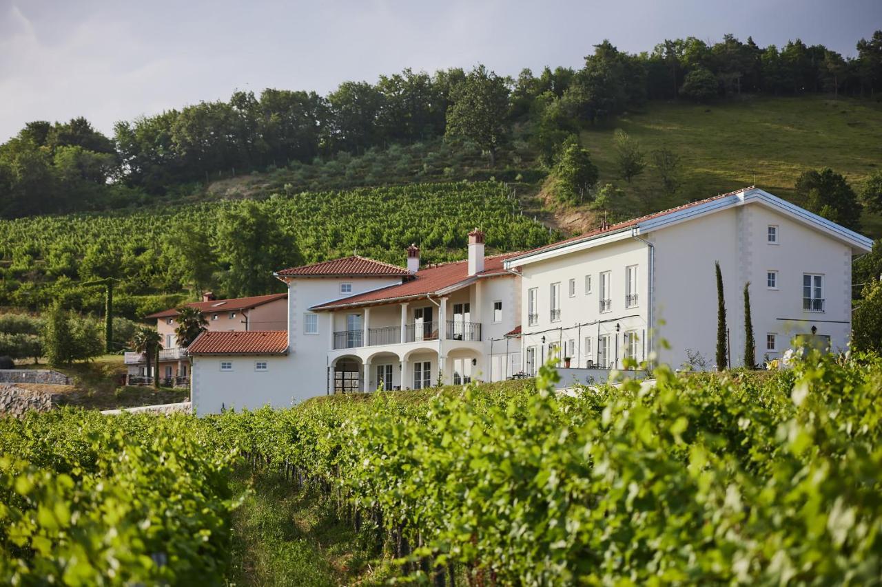 Kojsko Peterc Vineyard Estate Bed & Breakfast エクステリア 写真