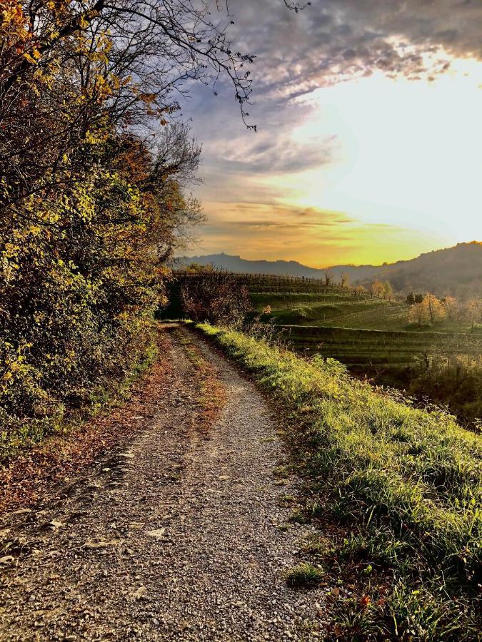 Kojsko Peterc Vineyard Estate Bed & Breakfast エクステリア 写真