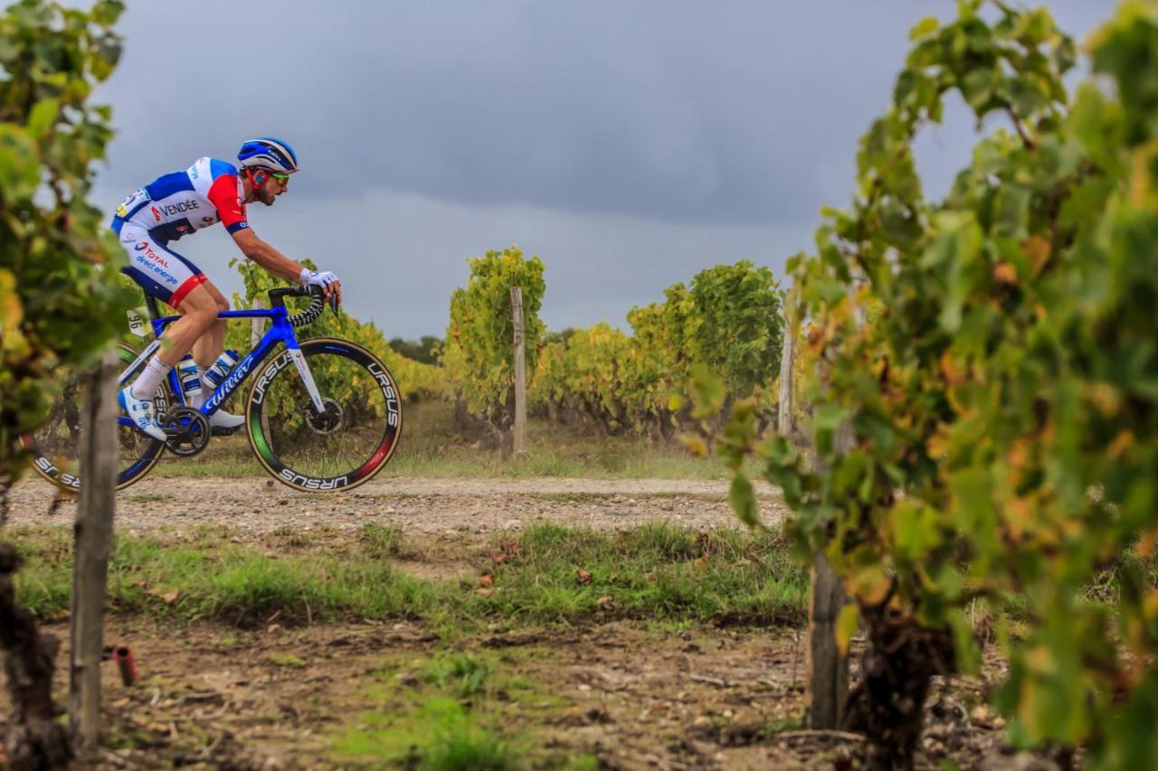 Kojsko Peterc Vineyard Estate Bed & Breakfast エクステリア 写真