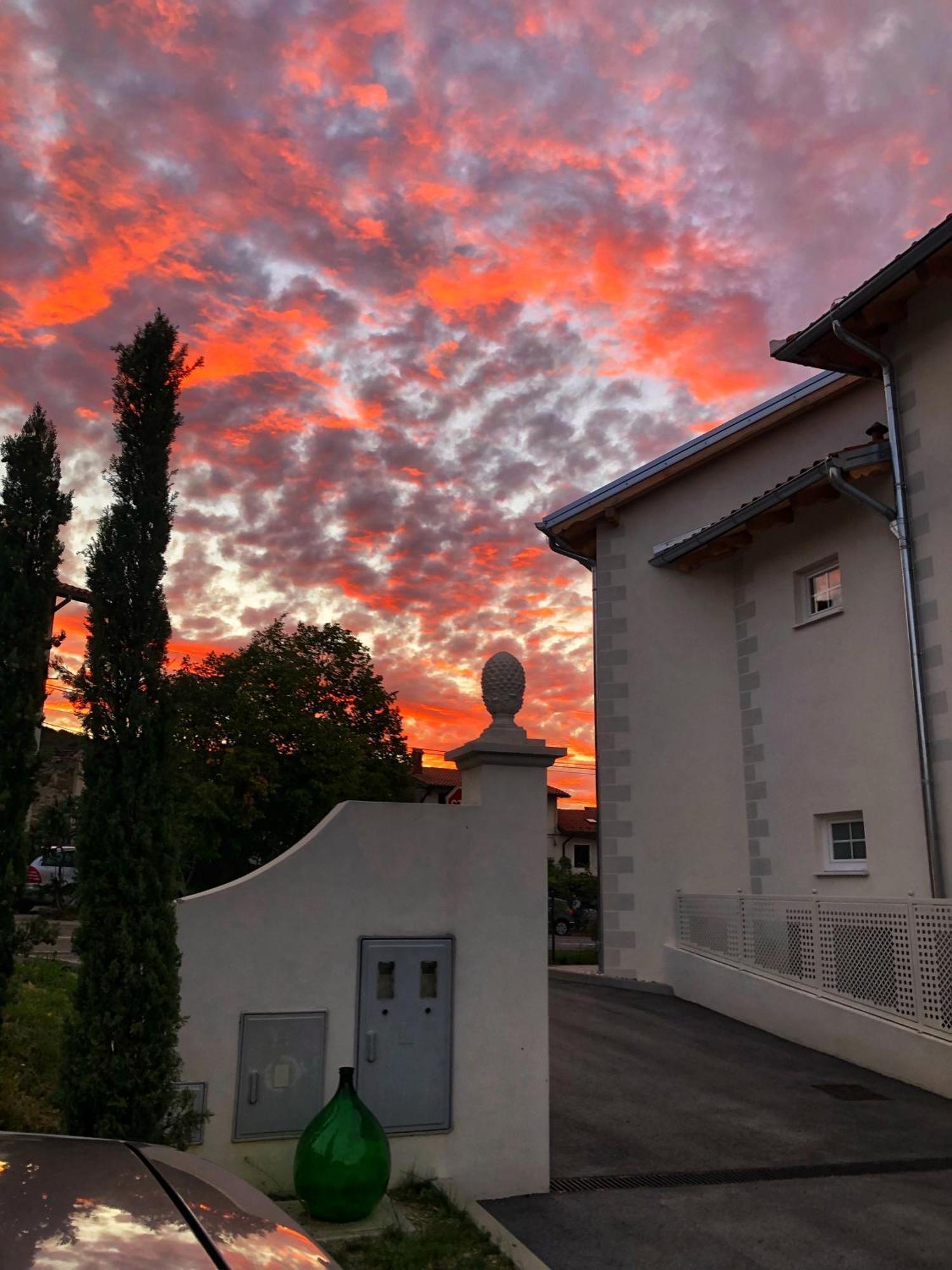 Kojsko Peterc Vineyard Estate Bed & Breakfast エクステリア 写真