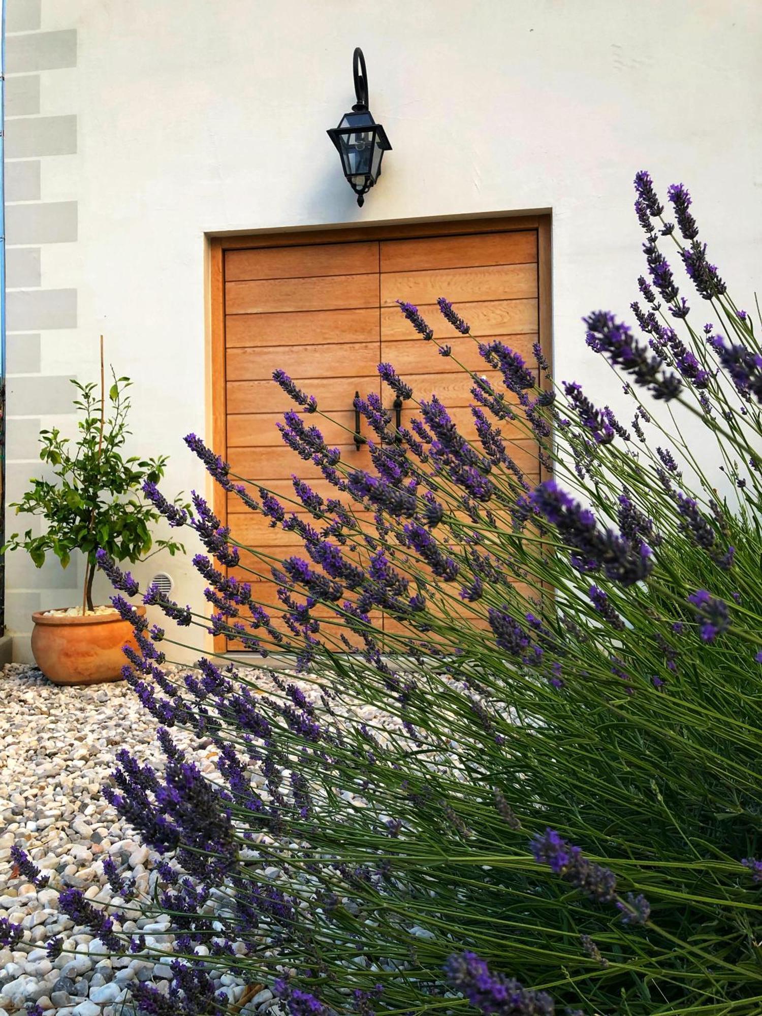 Kojsko Peterc Vineyard Estate Bed & Breakfast エクステリア 写真