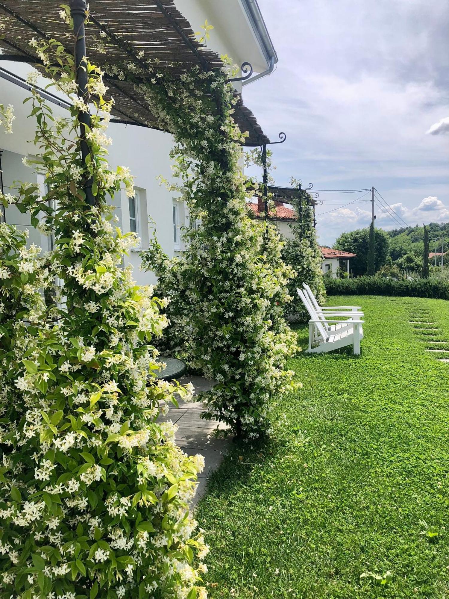 Kojsko Peterc Vineyard Estate Bed & Breakfast エクステリア 写真